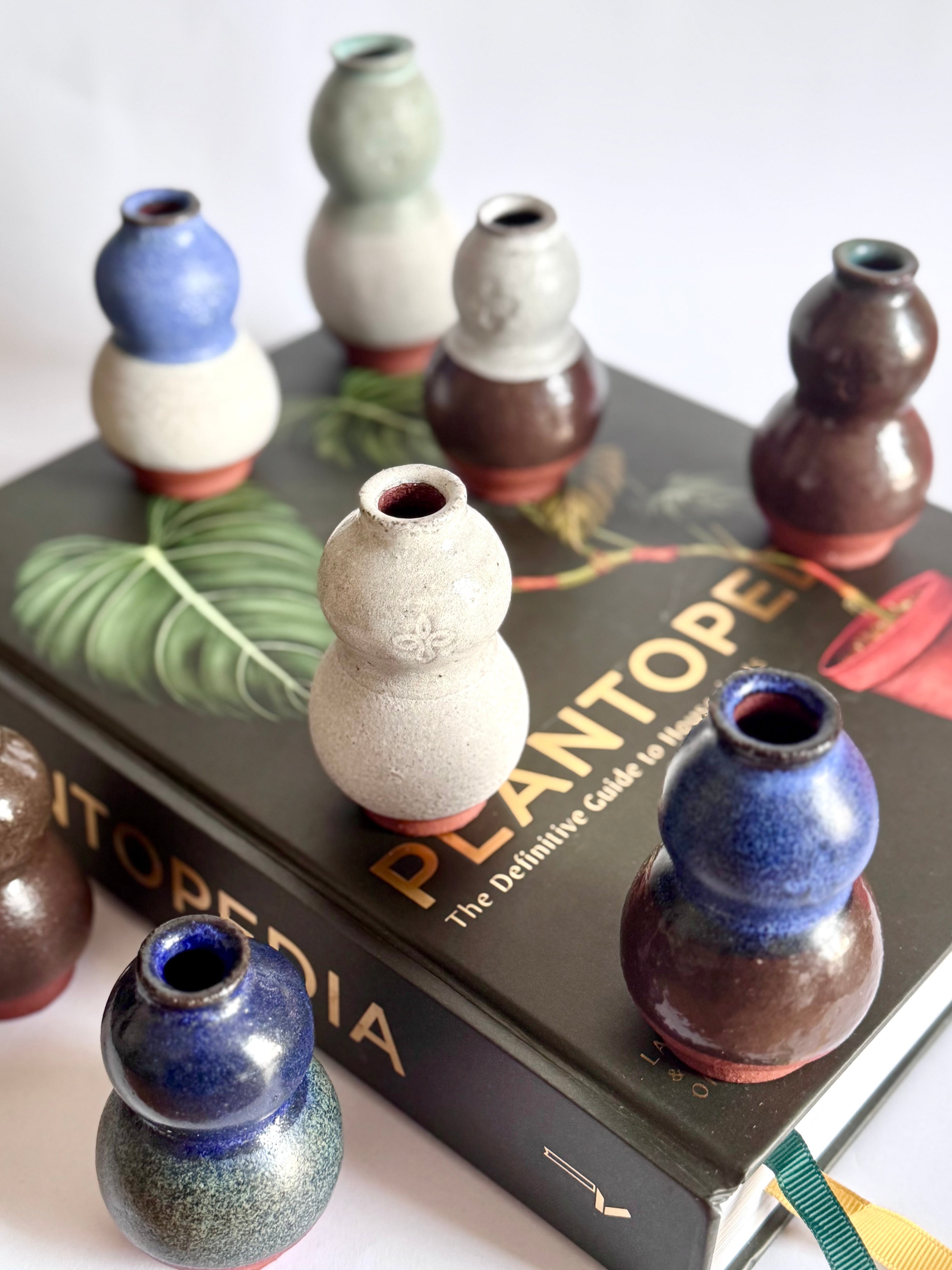 Terra Buds Collection