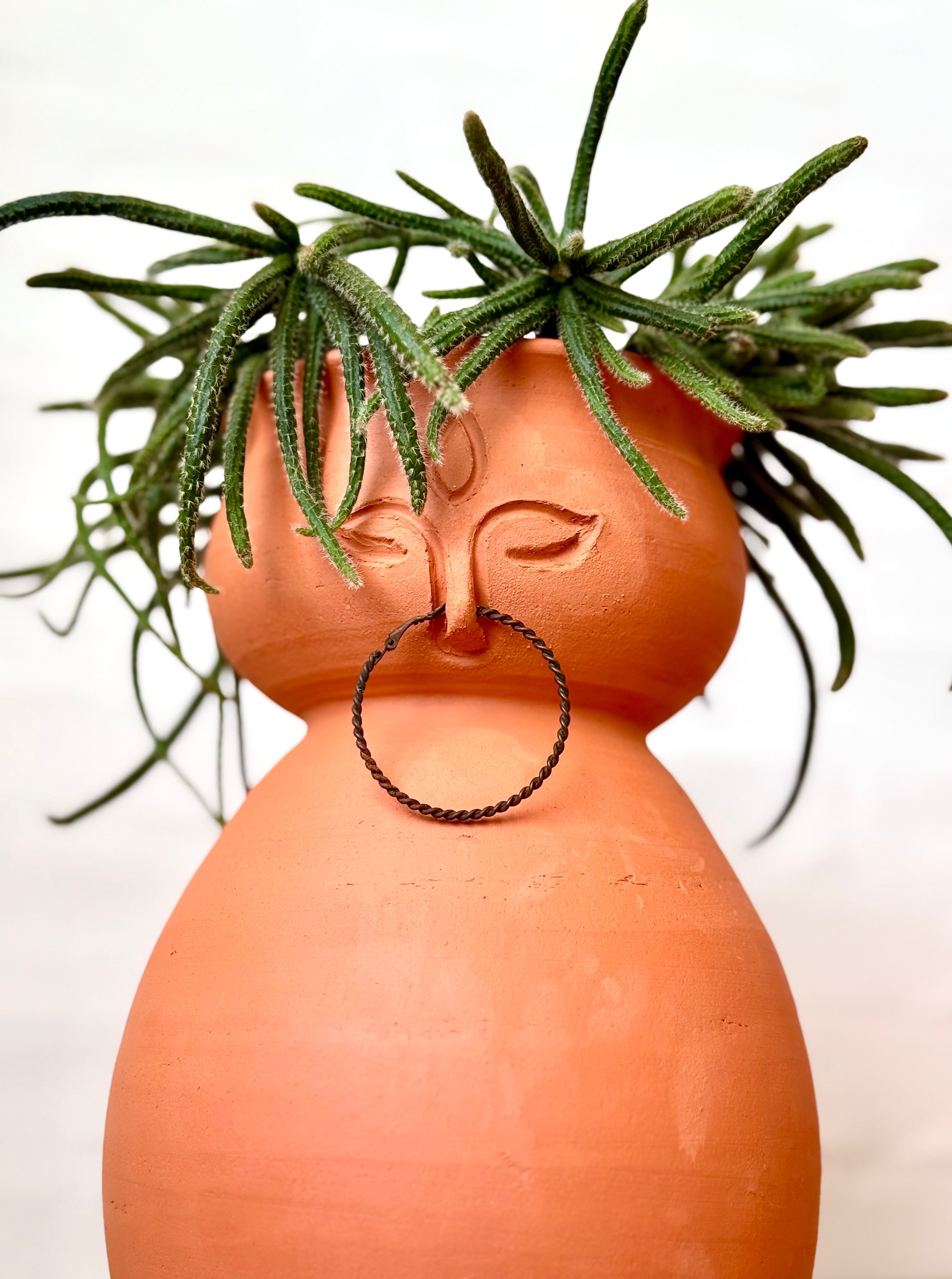 Terra cotta pot shaped like a face with green plant hair on a white background