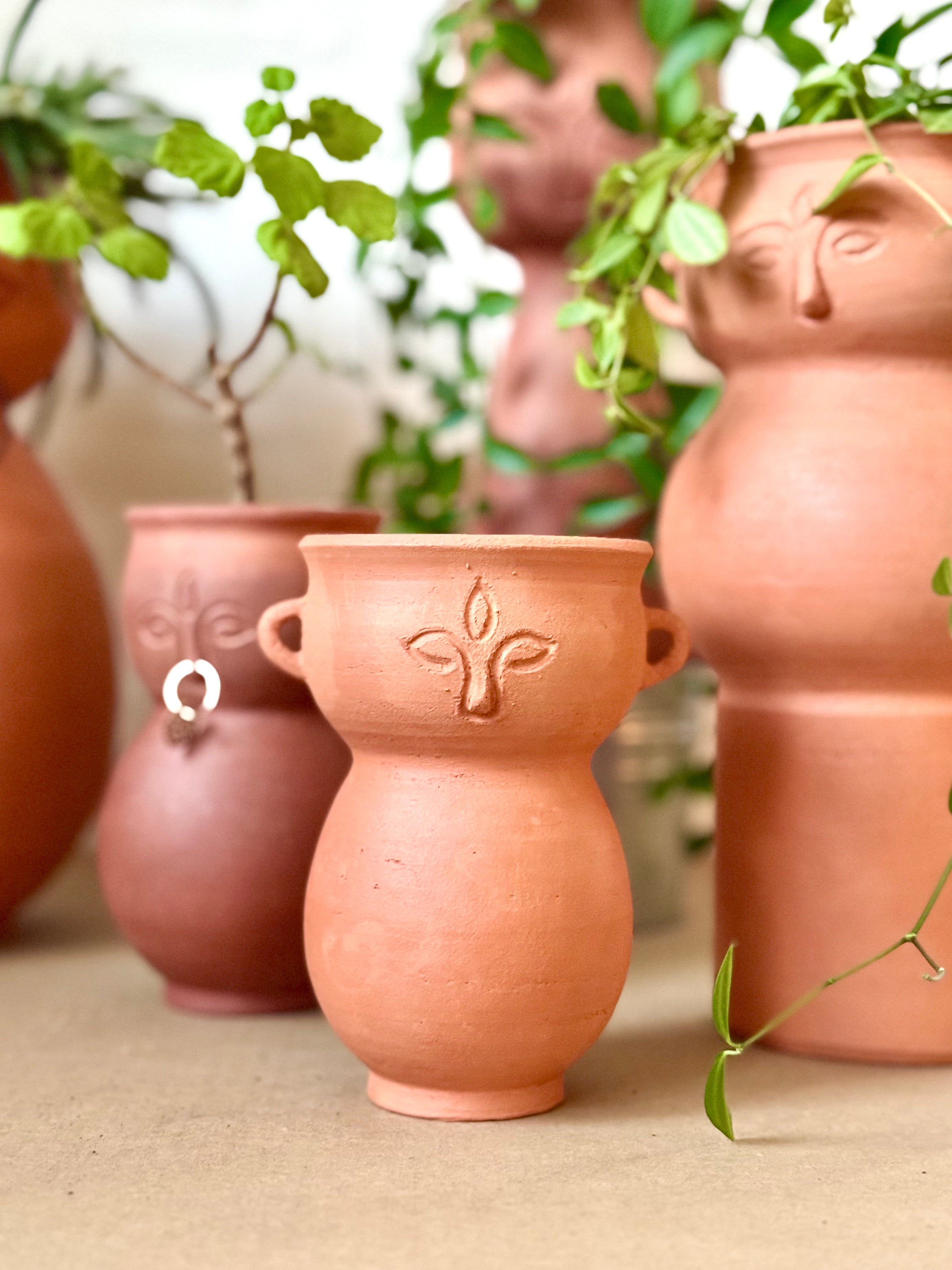 Terracotta pots with planters on a neutral background